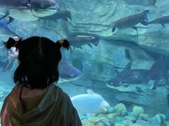 -泉城欧乐堡海洋极地世界