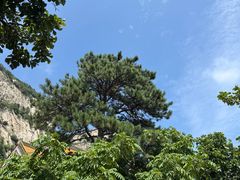 -青岩寺风景区