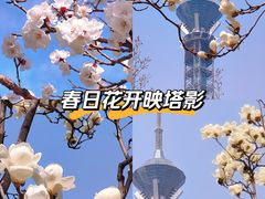 -裕华世纪公园