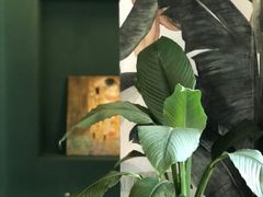 -So Acai(天河店)
