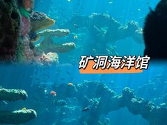 -长鹿旅游休博园