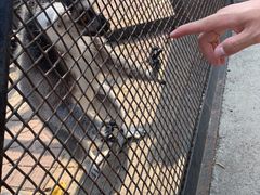 -石家庄市动物园