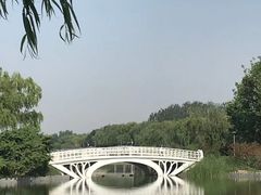 -大兴滨河森林公园