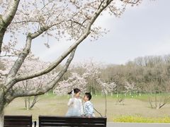 -羊山湖公园