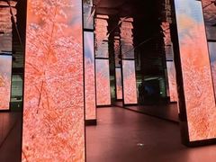 -中国湿地博物馆