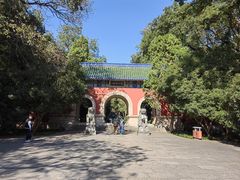 -灵谷景区