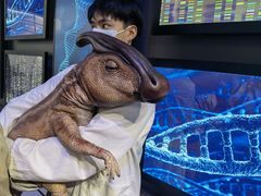 -侏罗纪世界电影特展(广州站)