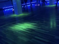 -奔马滚轴溜冰场