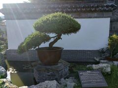 -水绘园