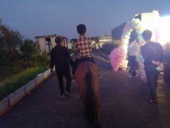 -小蜜蜂农场(凯德七宝购物广场店)