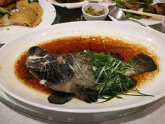 清蒸龙趸-唐人轩(中山四路店)