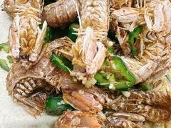 -贞姨美食·老字号海鲜大排档