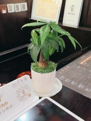 -东方先生国潮男士理发馆