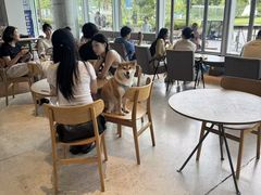 -SAANCI山池咖啡(海上世界文化艺术中心店)