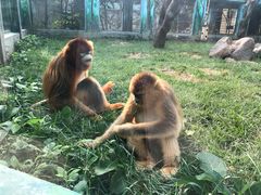-西安秦岭野生动物园