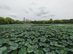 -长春市南湖公园