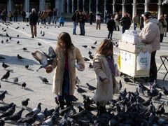 -圣马尔谷圣殿宗主教座堂