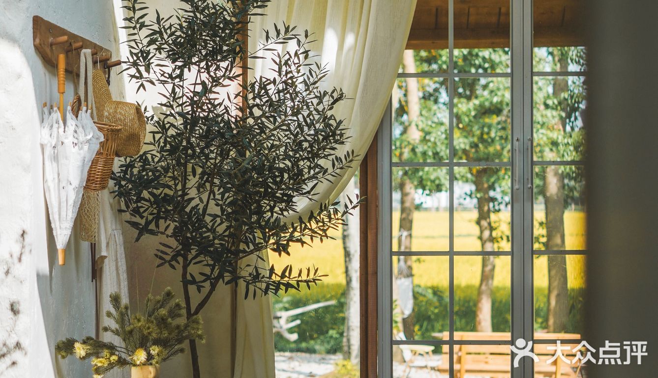 建筑师的稻田咖啡馆，美出天！