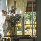 建筑师的稻田咖啡馆，美出天！