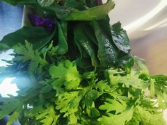 -鼎盛山海火锅(北戴河刘庄夜市老虎石浴场店)