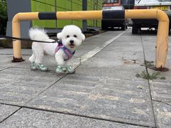 -久久宠物(河东万达店)