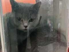 -纳吉亚猫专科动物医院博雅分院