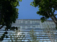 -新浪总部大厦