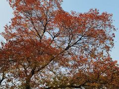 -苏州河梦清园环保主题公园