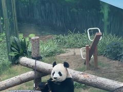 -大连森林动物园