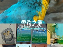 -青藏高原野生动物园
