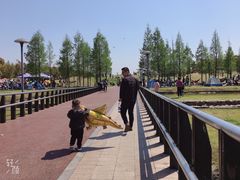 -滆湖低碳生态公园