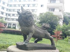 -西南政法大学(沙坪坝校区)