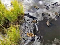-花湖生态旅游区
