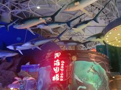 -烟台海昌鲸鲨海洋公园