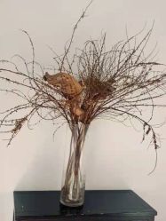 -无界瑜伽普拉提