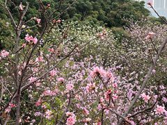 -小南山公园