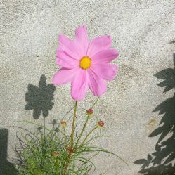 -亦美瑜伽·普拉提