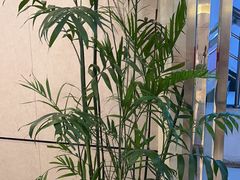 -上海精菜馆(虎踞关店)