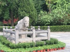 -洛阳白马寺