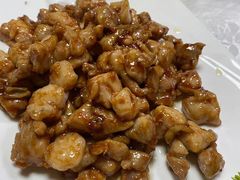 -丁老爷子苏香圆