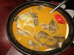 红煨甲鱼-潇湘甲鱼村(清河店)