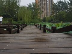 -南翠屏公园