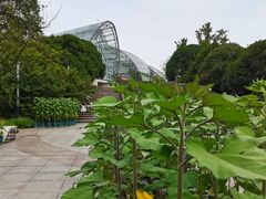 -南山植物园