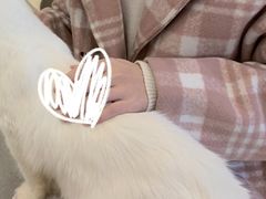 -飞行喵MR PILOT|猫舍·猫咖(静安大融城店)