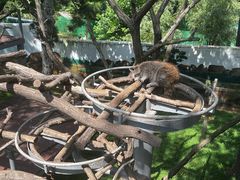 -西霞口神雕山野生动物世界