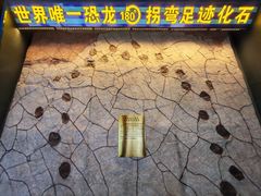 -诸城市恐龙博物馆