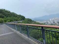 -金鸡山公园
