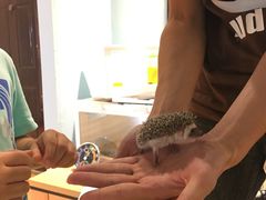 -藦茜花园宠物主题亲子互动体验馆(国顺东路店)