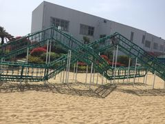 -碧海金沙
