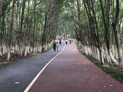 -艾溪湖湿地公园